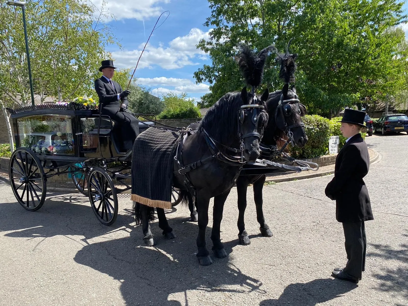 Horse-drawn funeral carriage with a pair of black horses arranged by Brunskill Family Funerals